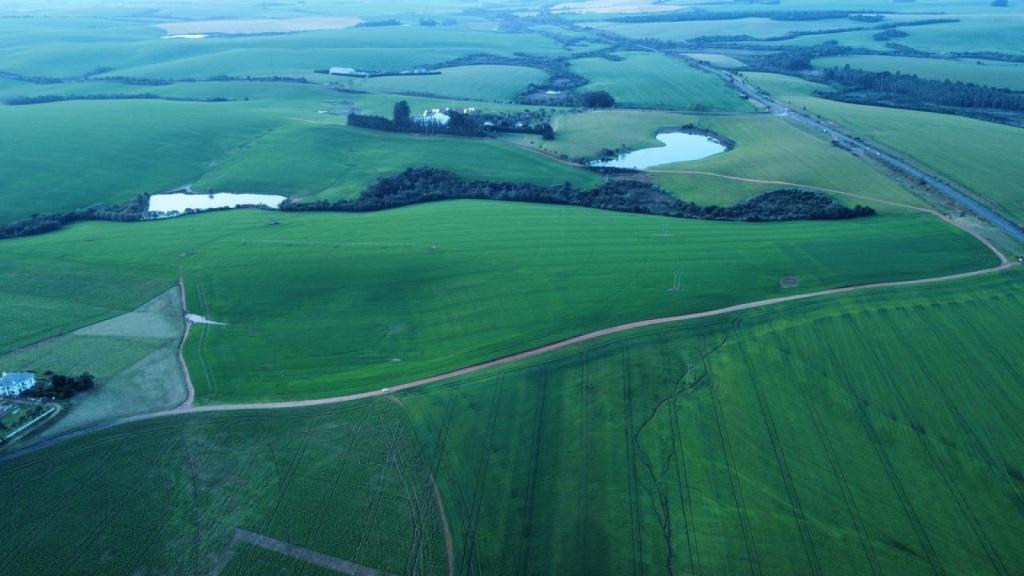 Abertura Oficial da Colheita do Trigo no RS será na Fazenda 