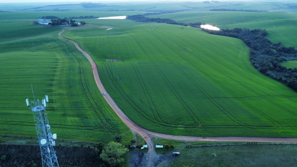 Abertura Oficial da Colheita do Trigo no RS será na Fazenda 